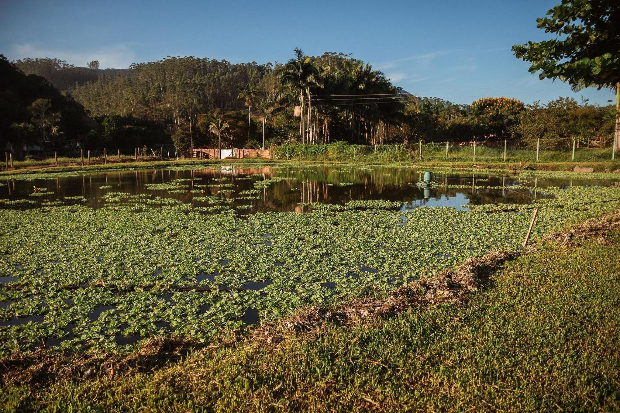Pousada Sestrem - Sao Joao Batista - Sc Luaran gambar